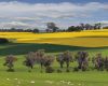 Competitiveness of Tasmanian Agriculture for 2050 White Paper