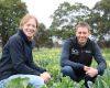 $6.4 million boost for cool climate horticulture growers