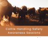 REMINDER:  Cattle Handling Safety Session - Stanley on 10th November