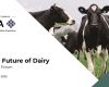 The Future of Dairy Virtual Forum: Watch the recording