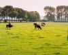 Livestock Health Monitoring Report – August 2022