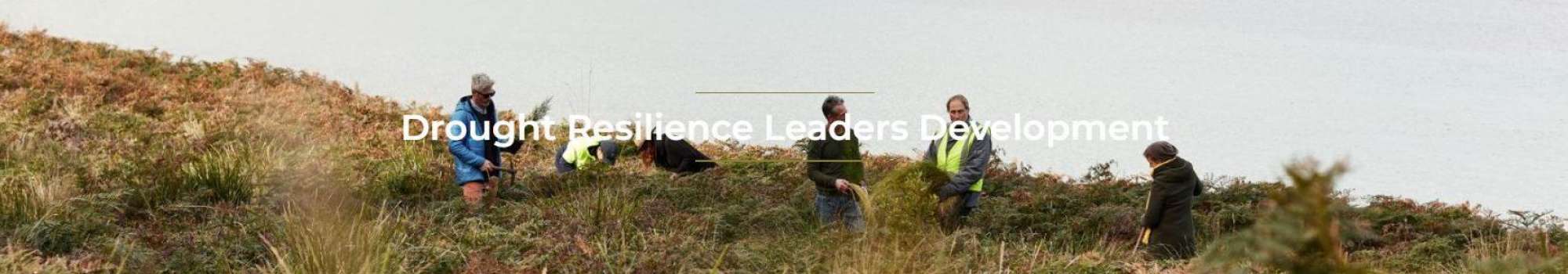Tas Leaders image