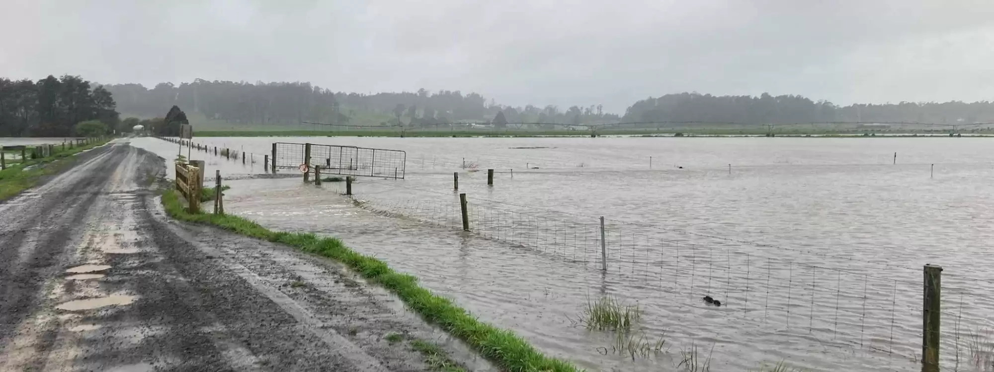 Flooding Nigel Brock