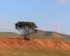 Drought Ready Tasmania Forum - Resilience