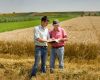 Have your say in the National Farmer Wellbeing Survey