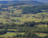 Private Forests Tasmania seeks new CEO
