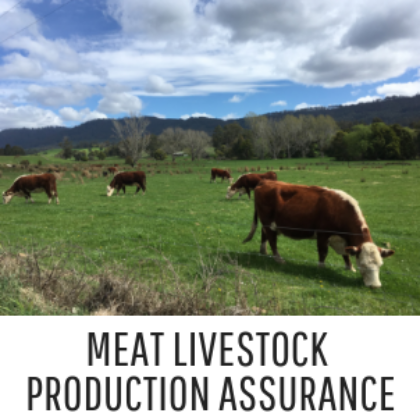 Meat Livestock Assurance