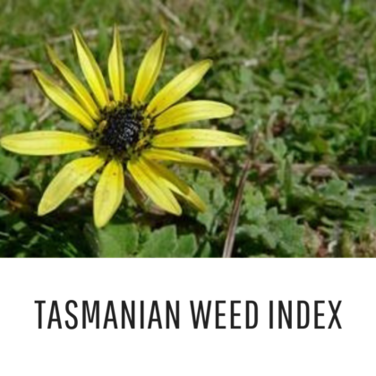 T As Weed Index