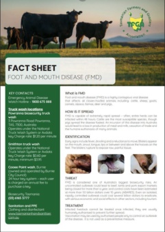 FMD Fact Sheet Image Only